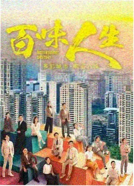 517影院剧集档案雾港纪事的卷宗封面